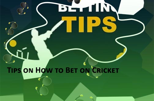 Cricket betting free tips com
