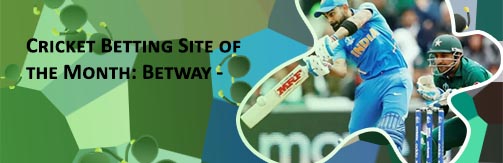Cricket betting tip for Indian users