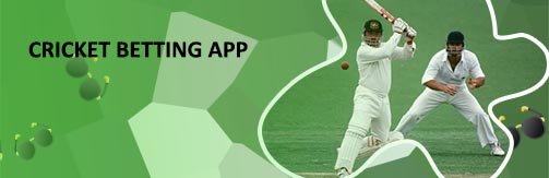 Cricket match betting software