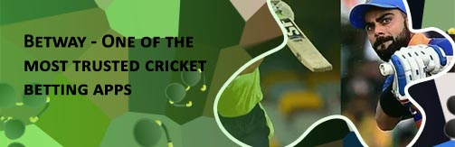Indian online cricket betting app