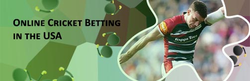 Live cricket betting in us