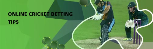 Online cricket betting dream11