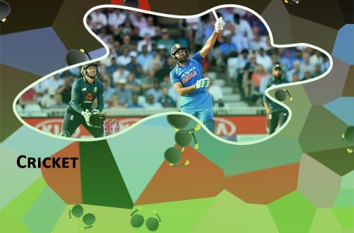 Online cricket betting sites in new jersey for Indian users